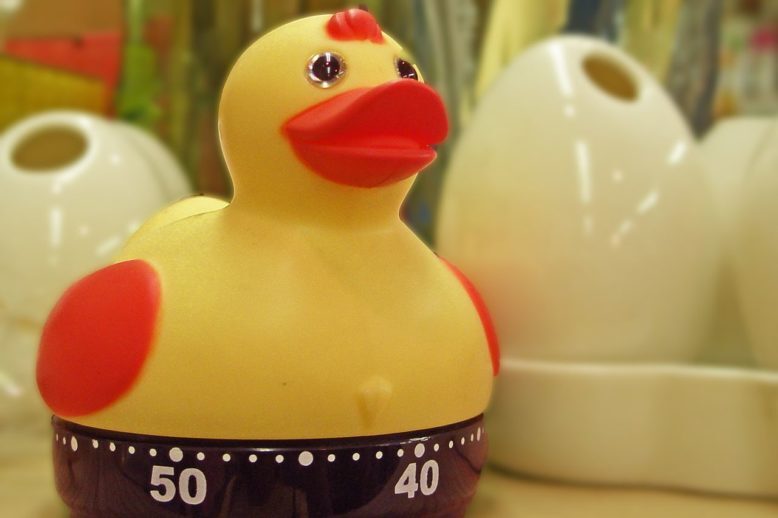 egg timer, essential tool