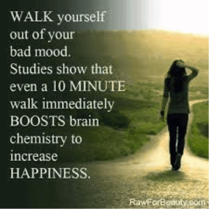 studies show walking