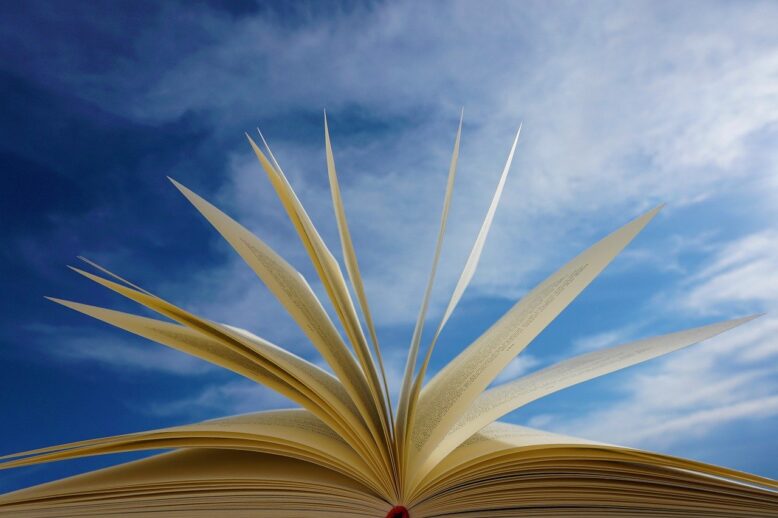 book What do supervisors pay attention to in your text?