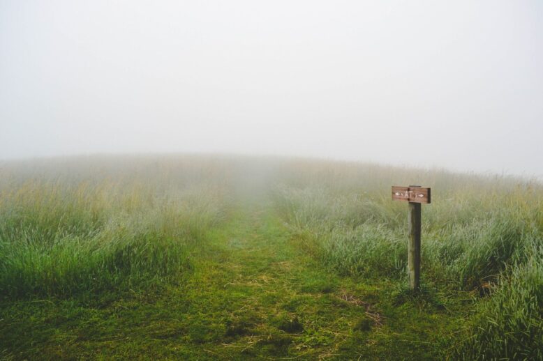 To decide what you want is the first step on the road to achieve your goals.