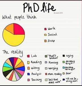 life of phd student in usa
