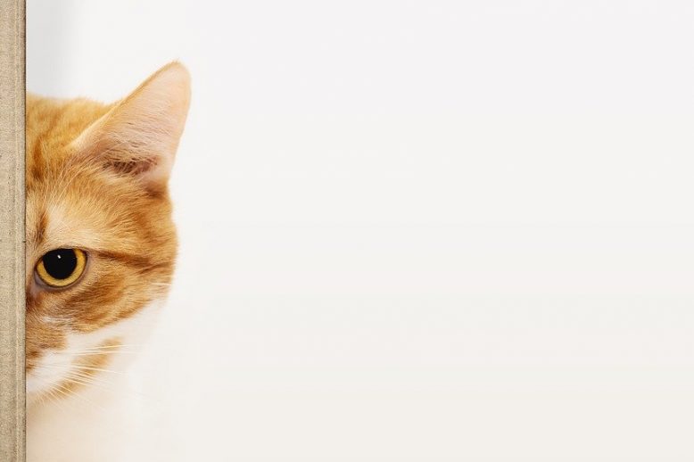 imposter Do you feel like fraud? Some strategies to help combat this imposter syndrome